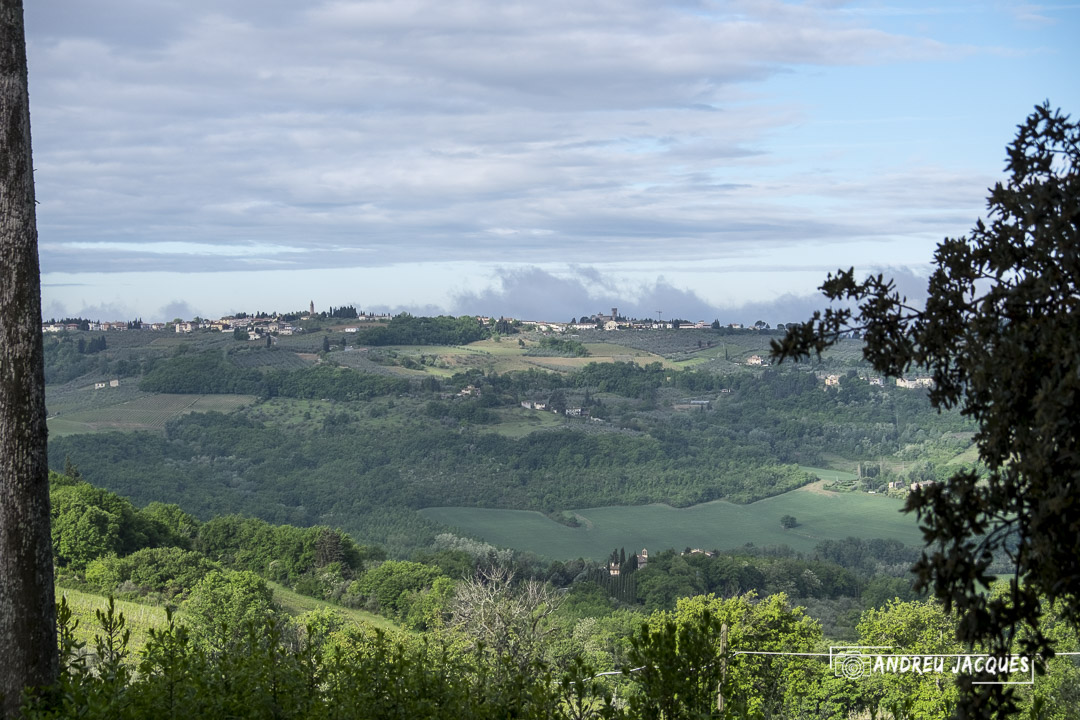 Toscane 2014 113.jpg